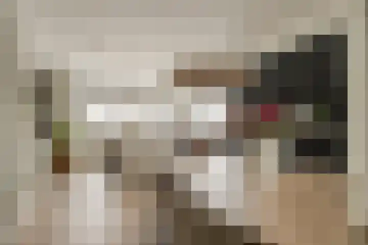 Morganlaan 14 Zutphen thumbnail 23