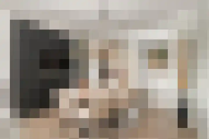 Morganlaan 14 Zutphen thumbnail 24
