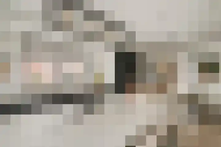 Morganlaan 14 Zutphen thumbnail 27