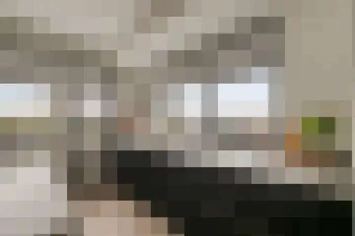 Morganlaan 14 Zutphen thumbnail 29