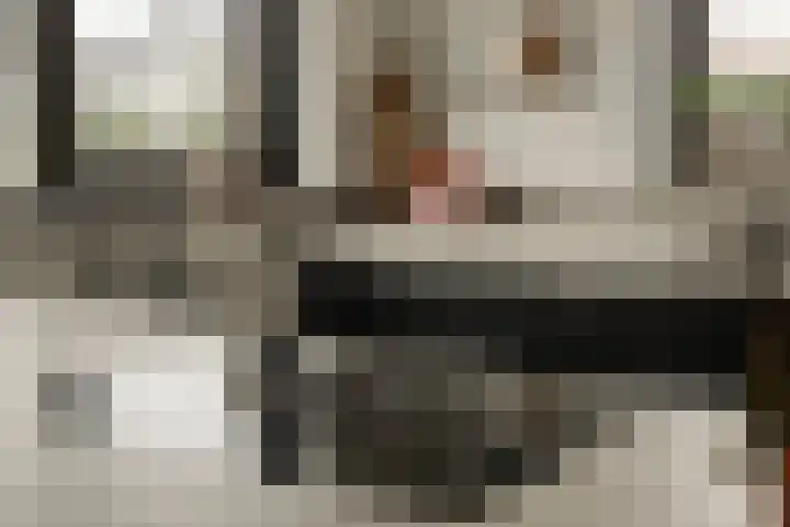 Morganlaan 14 Zutphen thumbnail 31