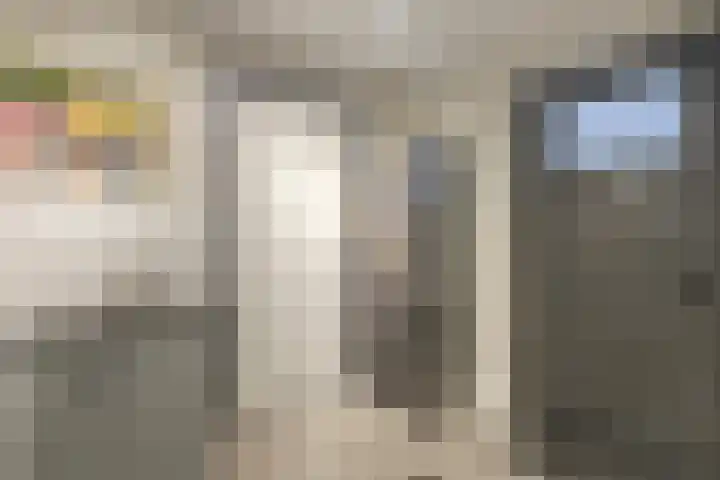 Morganlaan 14 Zutphen thumbnail 34