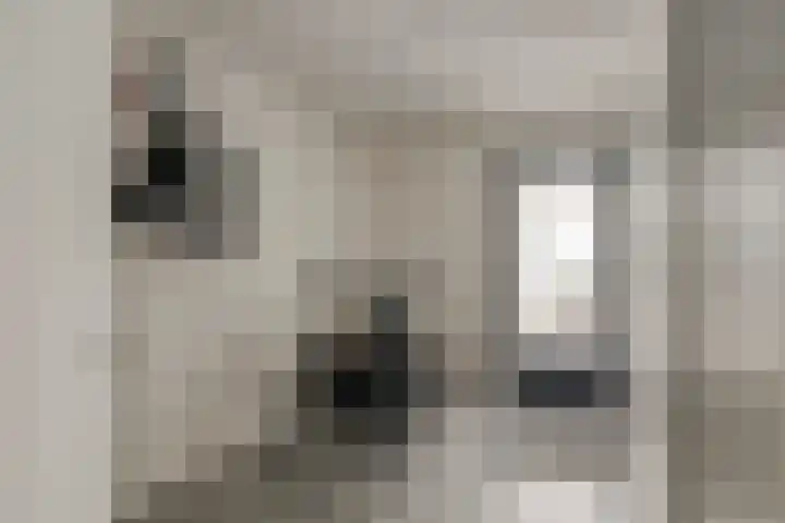 Morganlaan 14 Zutphen thumbnail 36