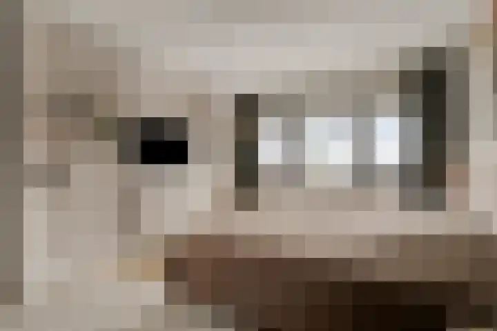 Morganlaan 14 Zutphen thumbnail 40