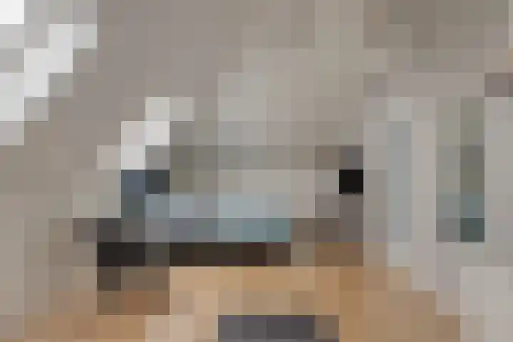 Morganlaan 14 Zutphen thumbnail 56