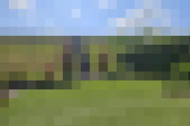 Morganlaan 14 Zutphen thumbnail 65
