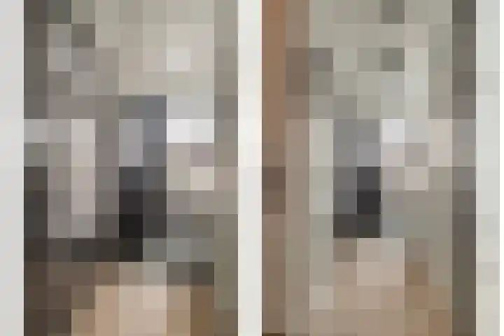 Morganlaan 14 Zutphen thumbnail 8