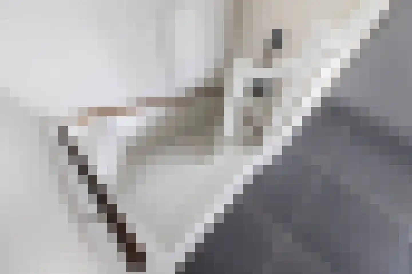 Morgen 10 Brielle thumbnail 14