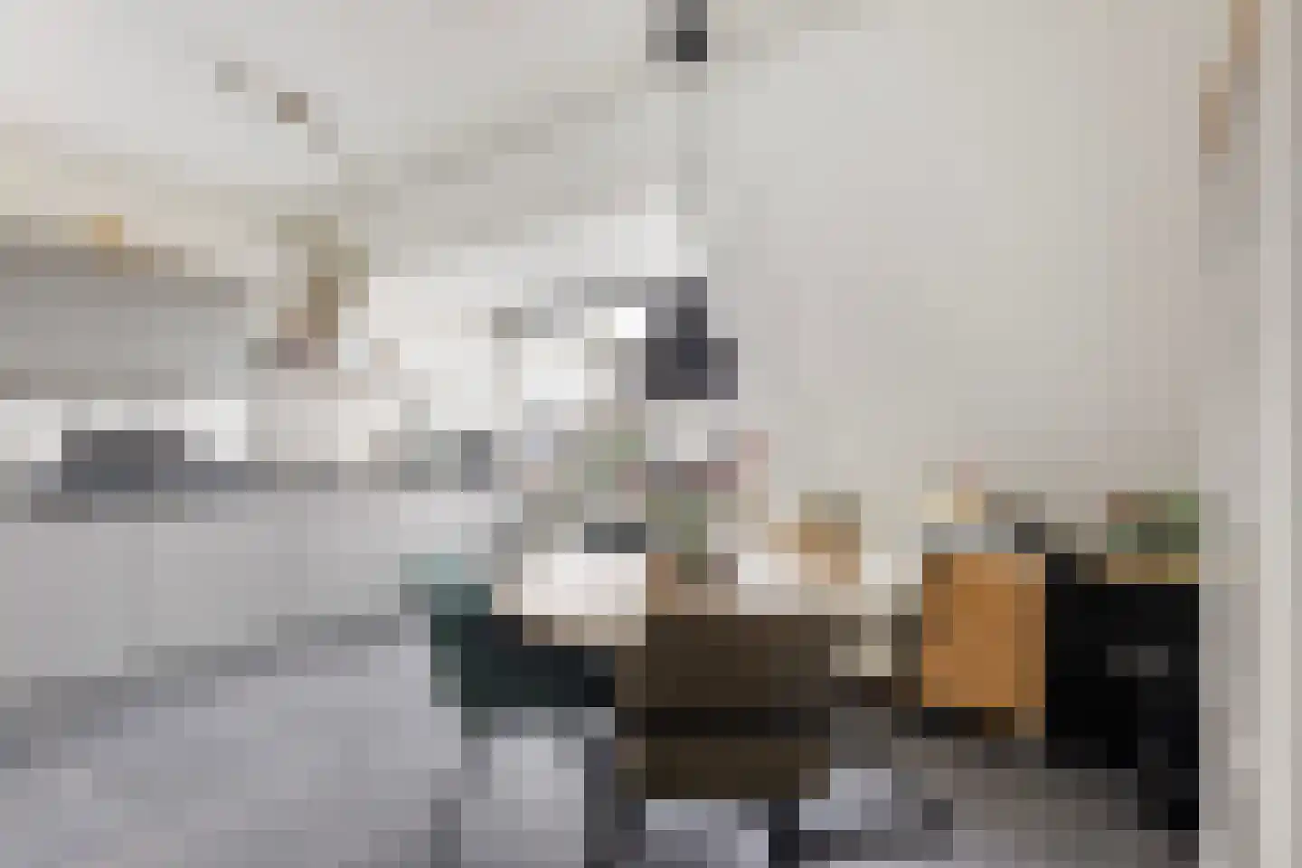 Morgen 10 Brielle thumbnail 18