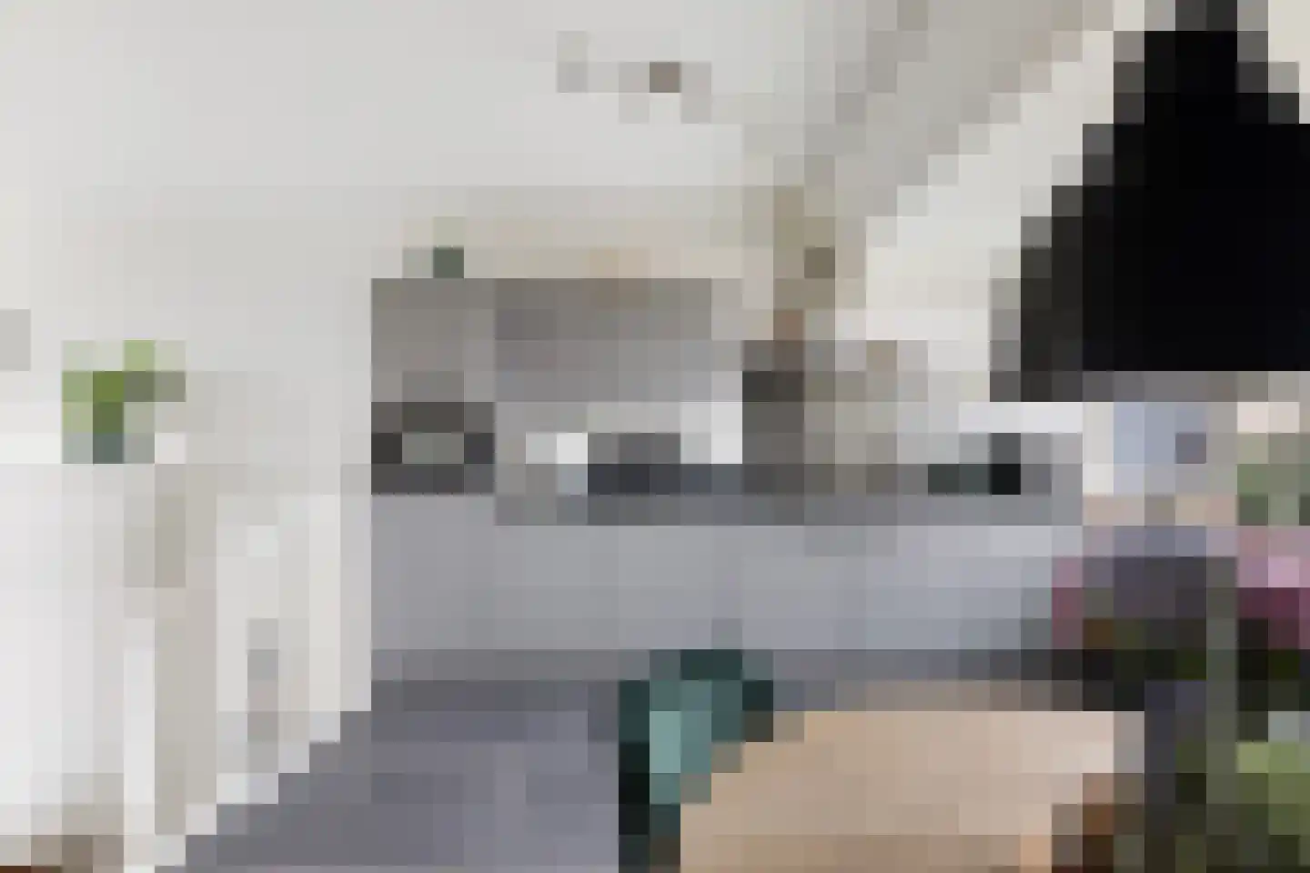 Morgen 10 Brielle thumbnail 19