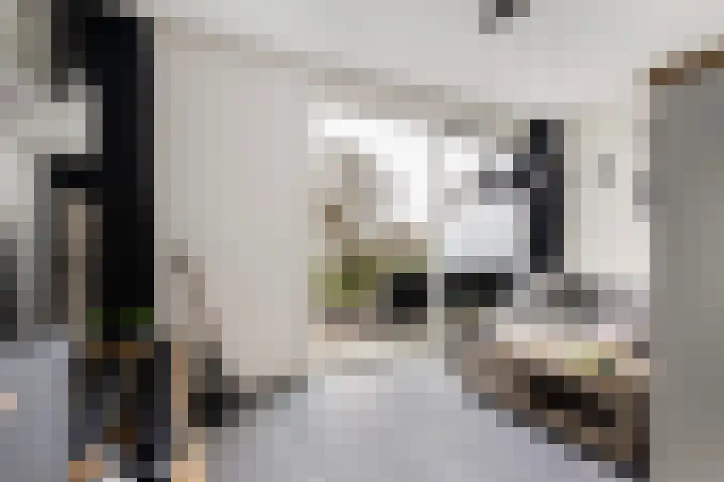 Morgen 10 Brielle thumbnail 23