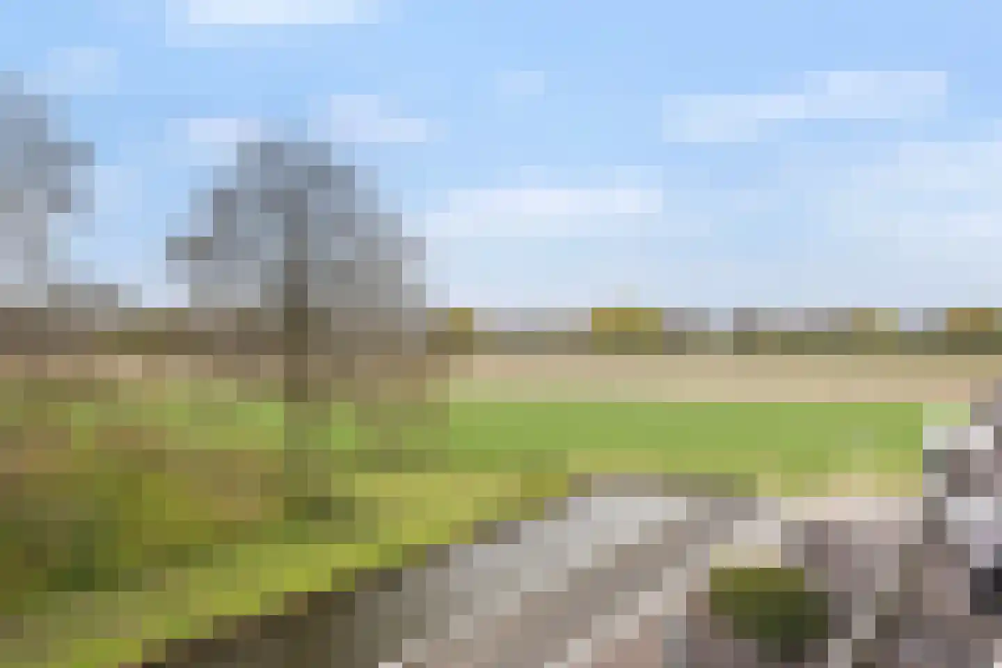 Morgen 10 Brielle thumbnail 29