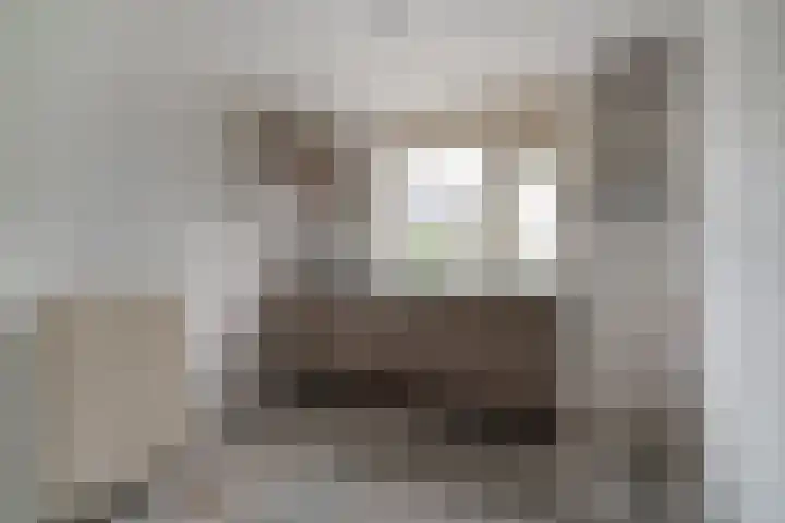 Morgen 17 Didam thumbnail 11