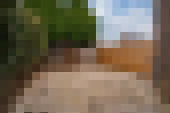 Morgen 17 Didam thumbnail 15