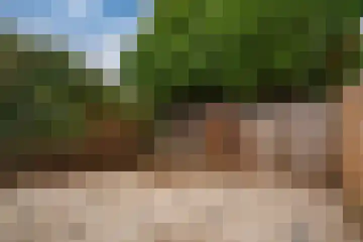 Morgen 17 Didam thumbnail 16