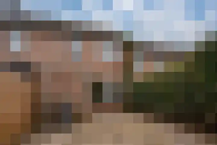 Morgen 17 Didam thumbnail 17