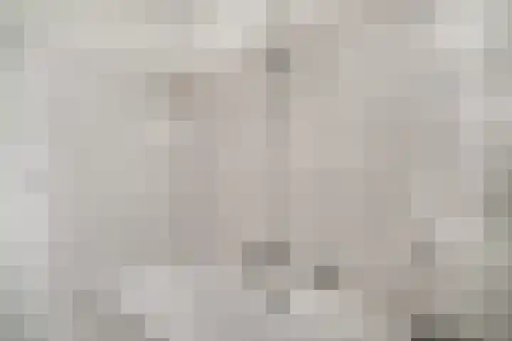 Morgen 17 Didam thumbnail 22