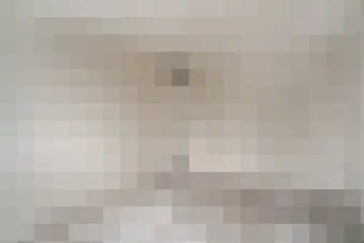 Morgen 17 Didam thumbnail 26