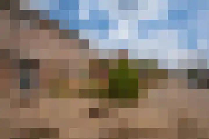 Morgen 17 Didam thumbnail 5