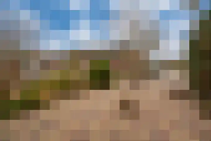 Morgen 17 Didam thumbnail 6