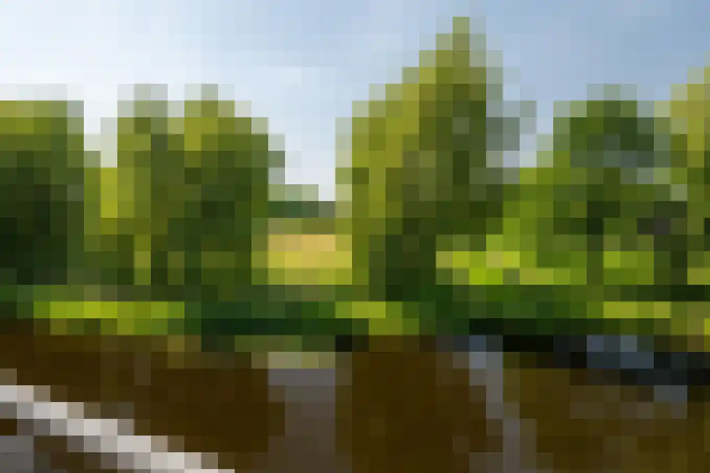 Morgen 17 Soest foto 2