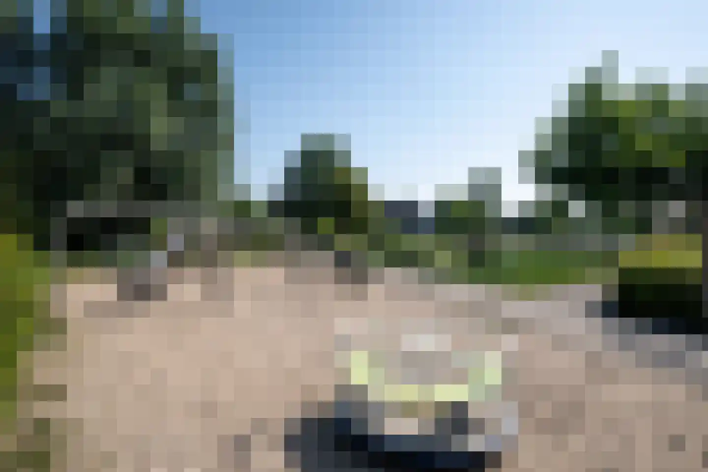 Morgen 17 Soest thumbnail 24