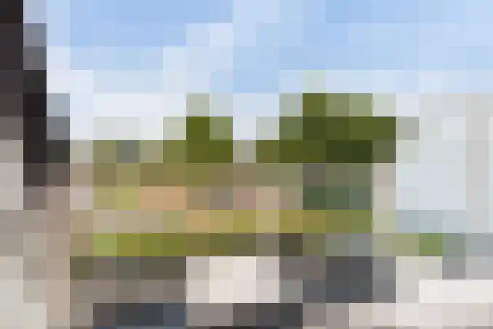 Morgen 2 Brielle thumbnail 12