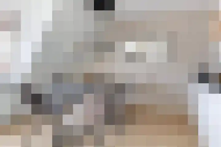 Morgen 2 Brielle thumbnail 18