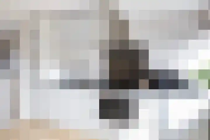 Morgen 2 Brielle thumbnail 21