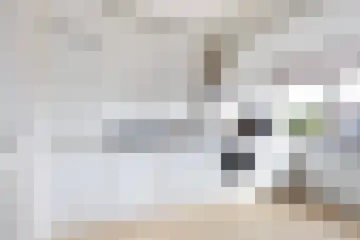 Morgen 2 Brielle thumbnail 22