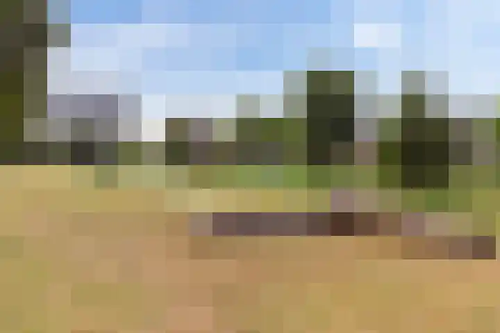 Morgen 2 Brielle thumbnail 42