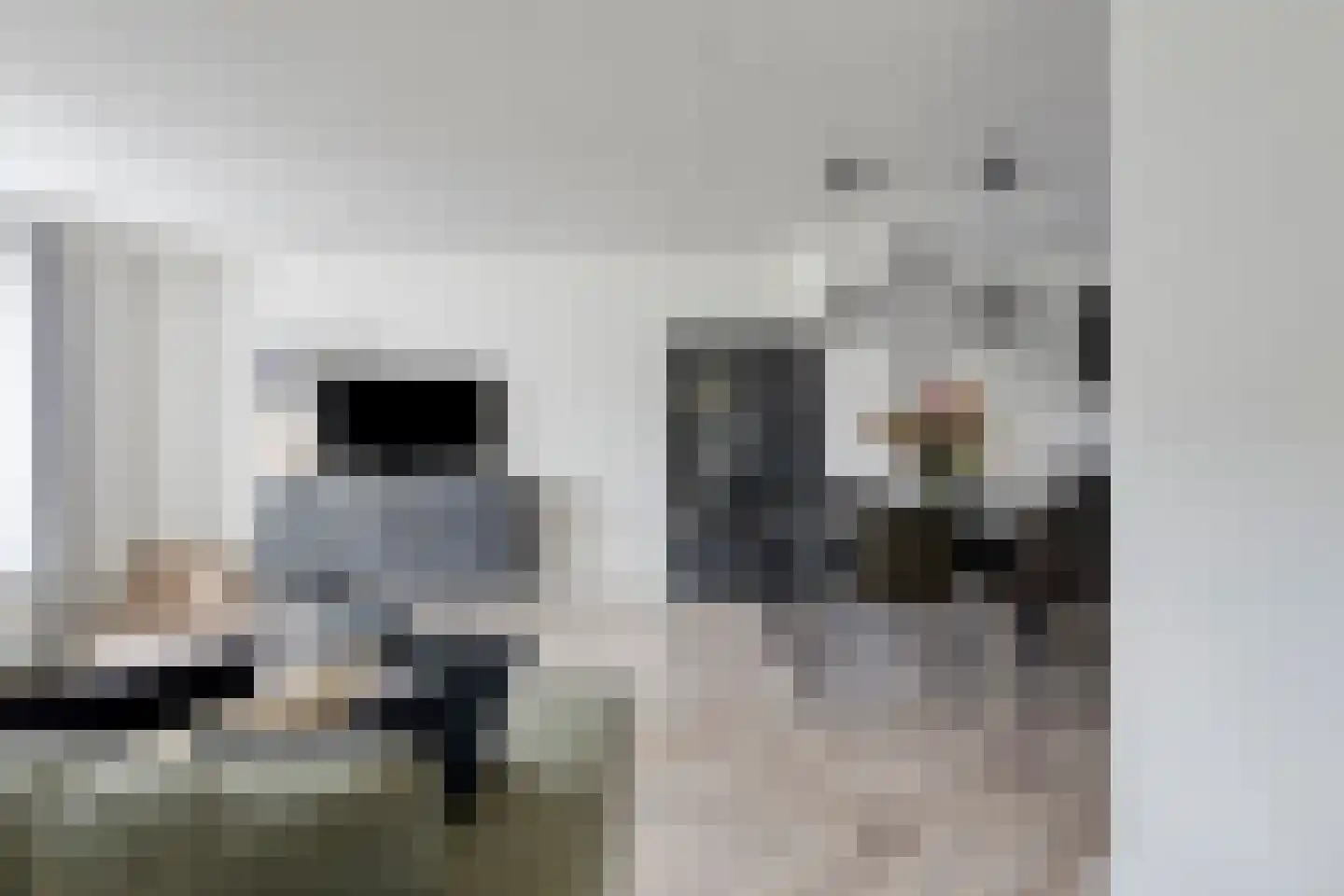 Morgen 21 Alphen aan den Rijn thumbnail 11