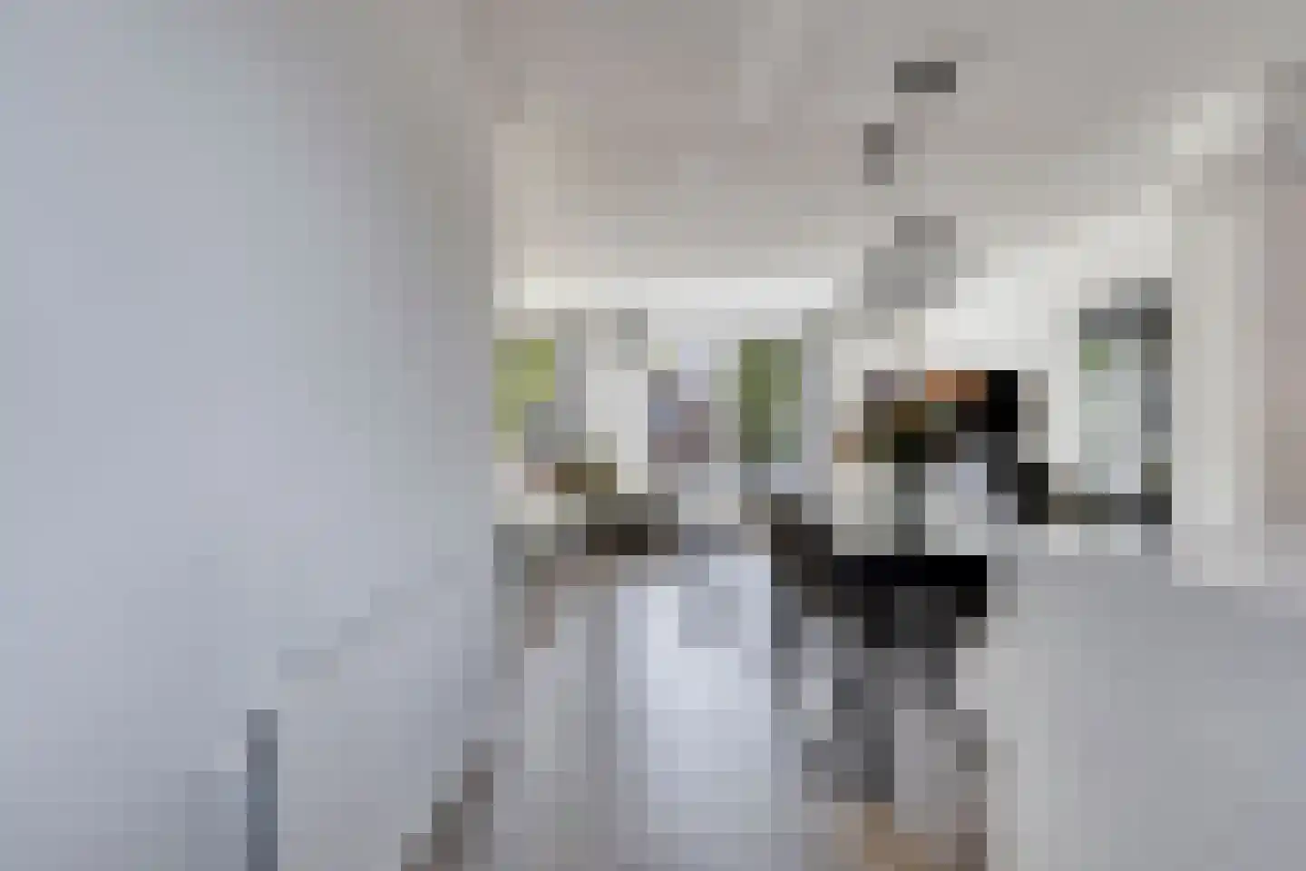 Morgen 21 Alphen aan den Rijn thumbnail 12