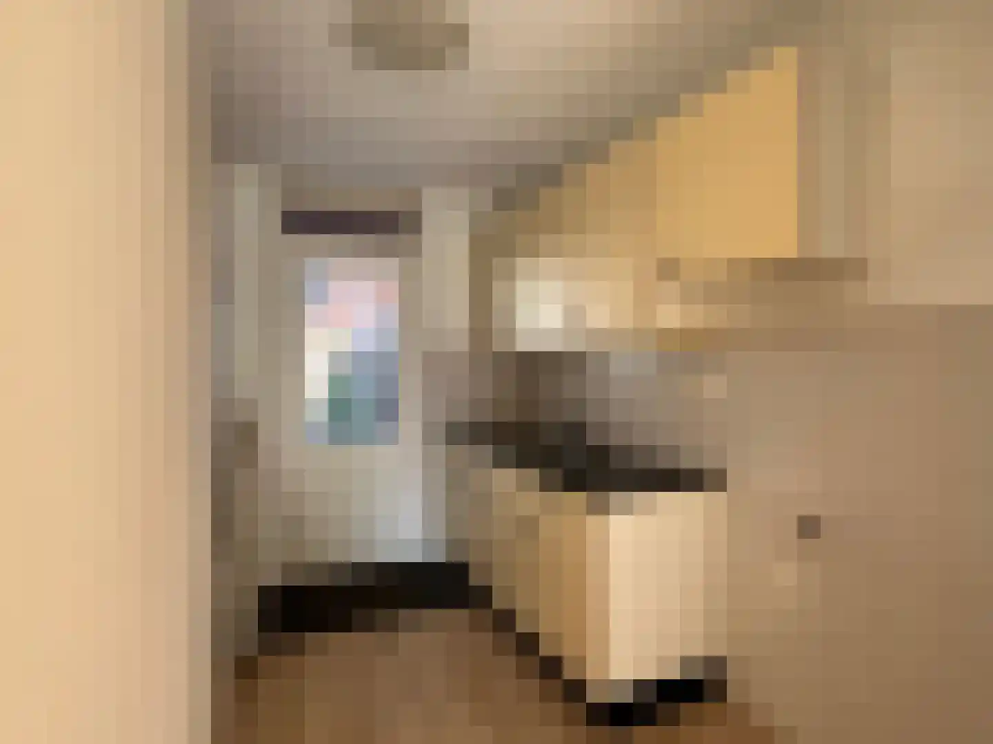 Morgen 27 Stompetoren thumbnail 12