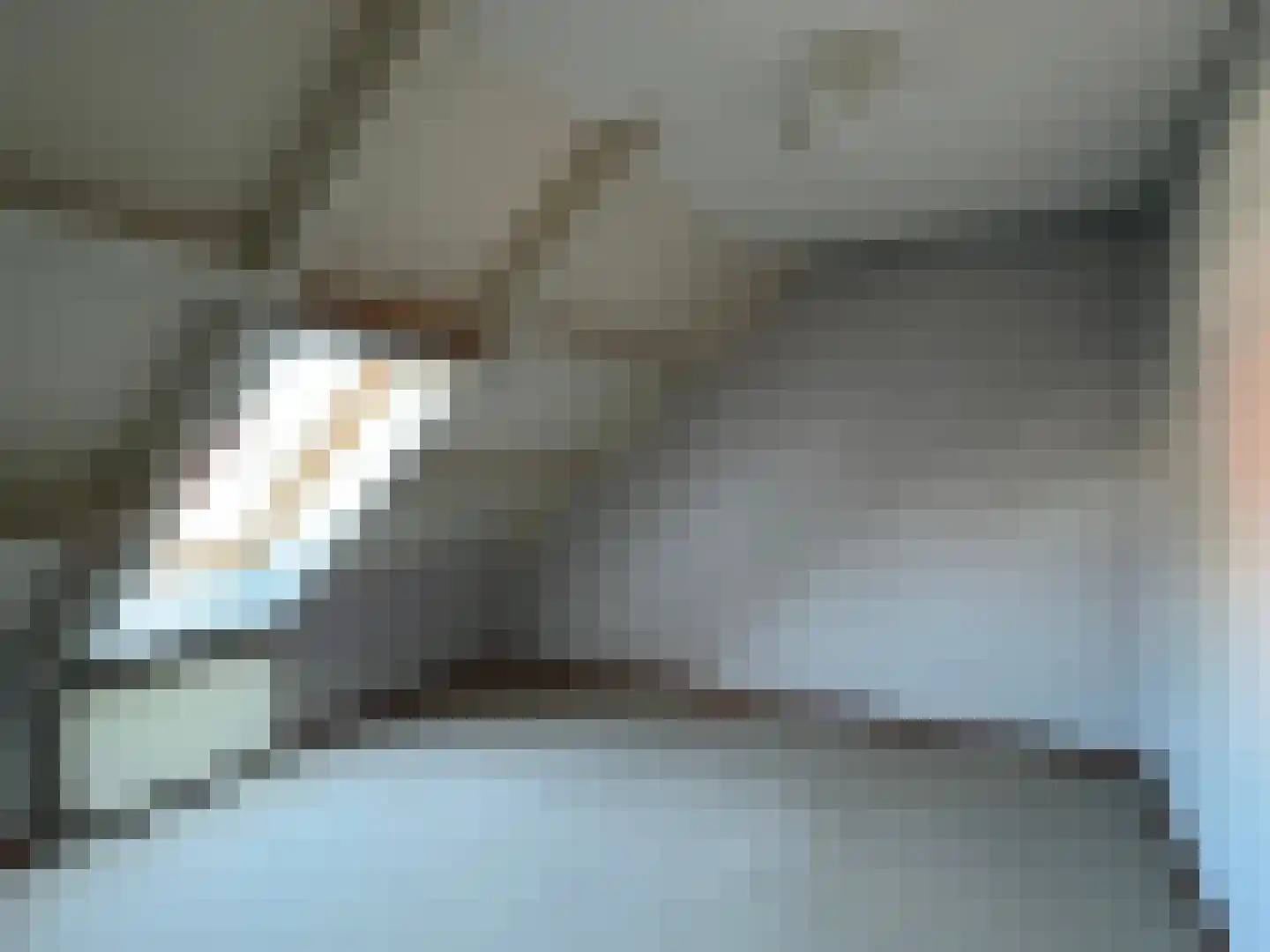 Morgen 27 Stompetoren thumbnail 26