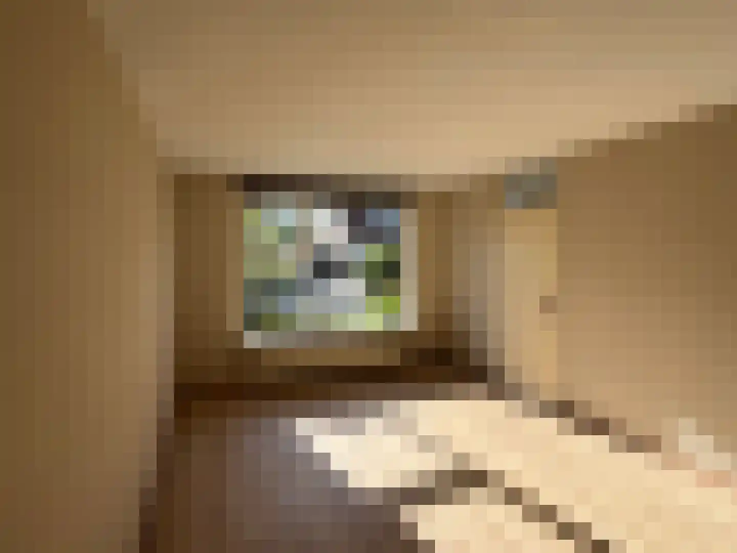 Morgen 27 Stompetoren thumbnail 4