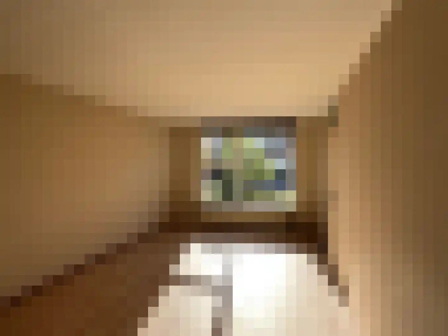 Morgen 27 Stompetoren thumbnail 5