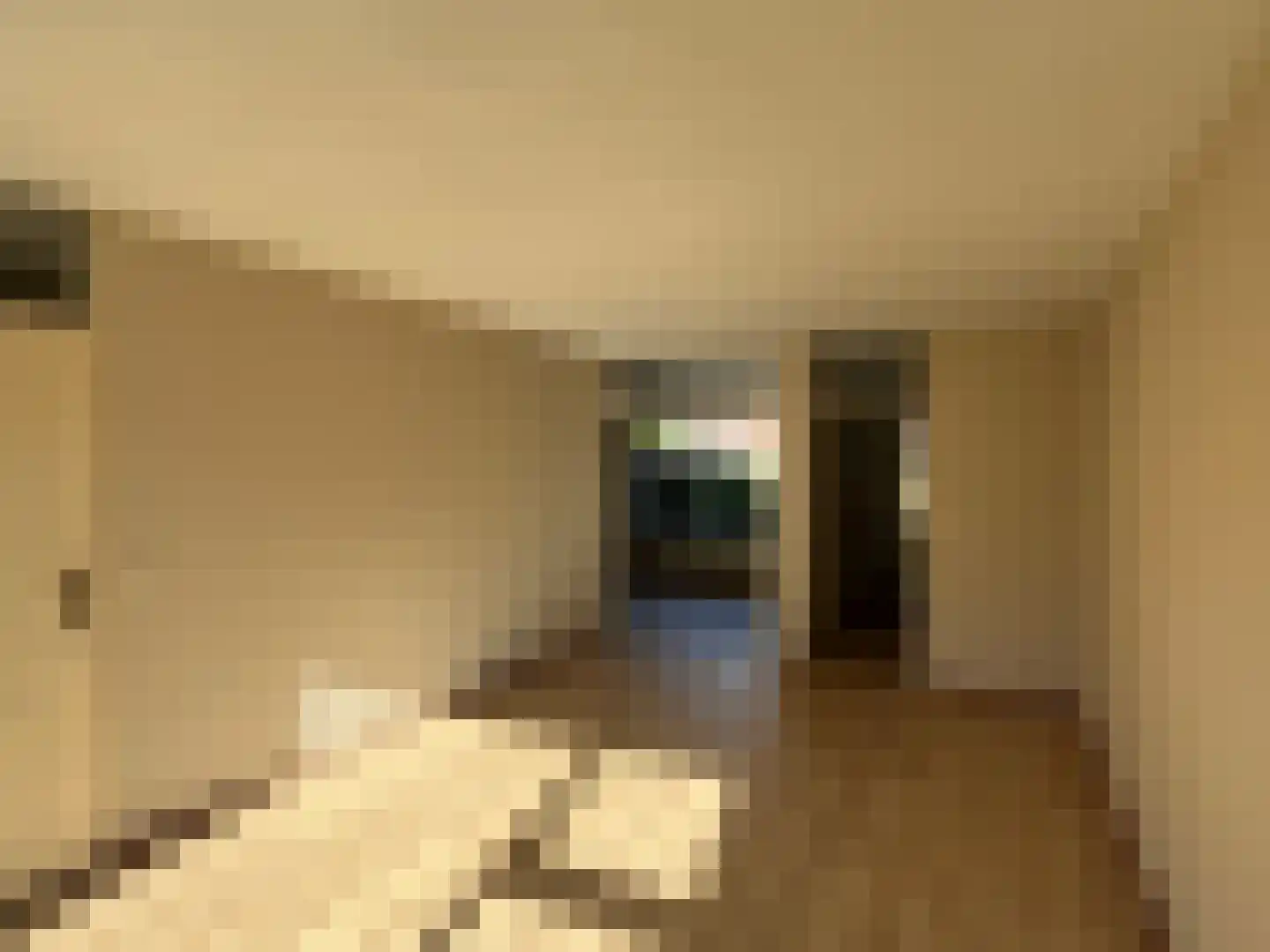 Morgen 27 Stompetoren thumbnail 6