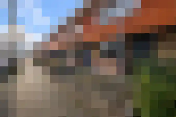 Morgen 4 Alphen aan den Rijn thumbnail 25