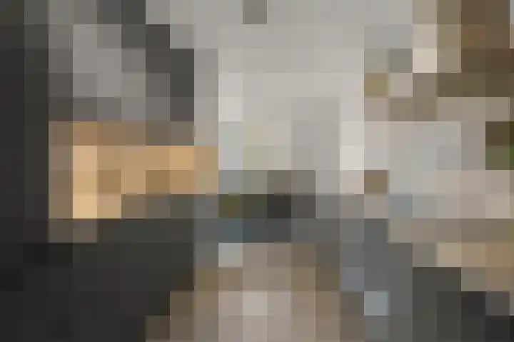 Morgen 4 Alphen aan den Rijn thumbnail 4