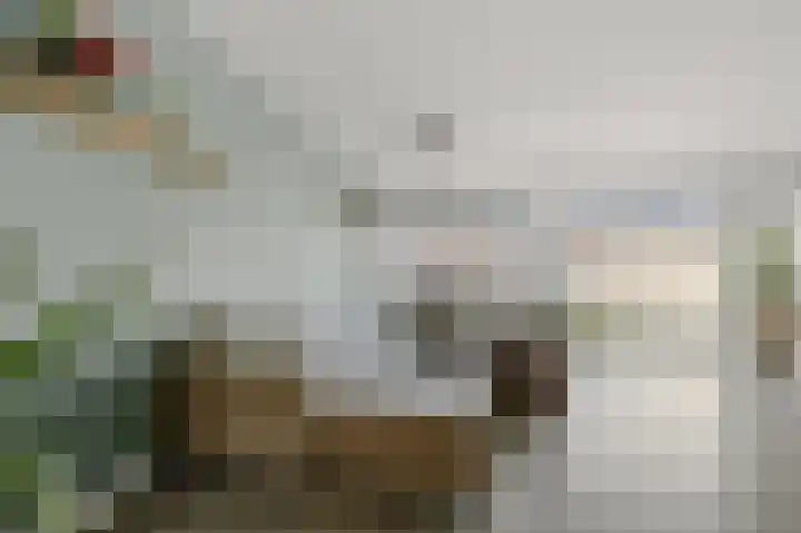Morgen 4 Alphen aan den Rijn thumbnail 6