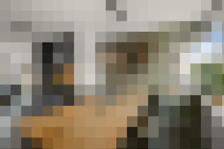 Morgen 4 Alphen aan den Rijn thumbnail 7