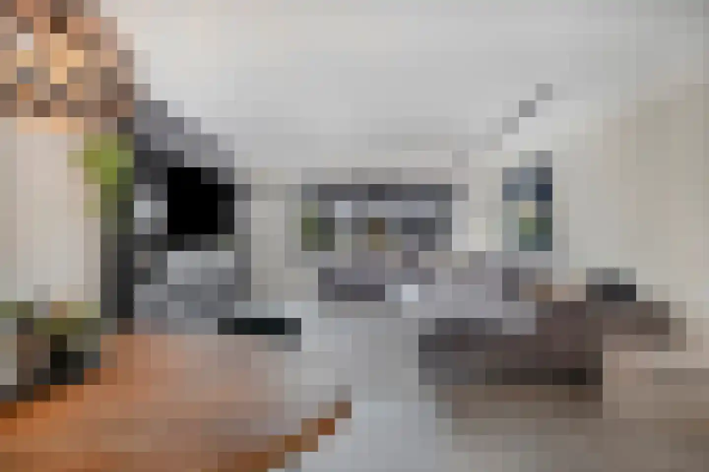 Morgen 41 Stompetoren thumbnail 11