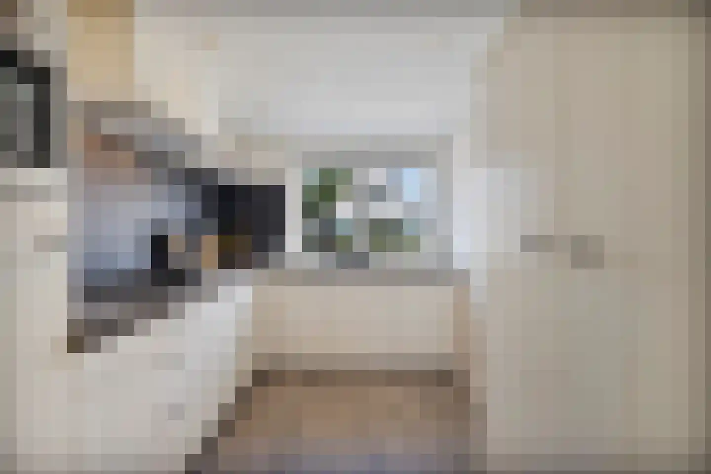 Morgen 41 Stompetoren thumbnail 16