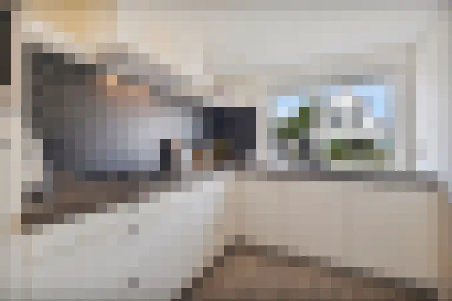 Morgen 41 Stompetoren thumbnail 17