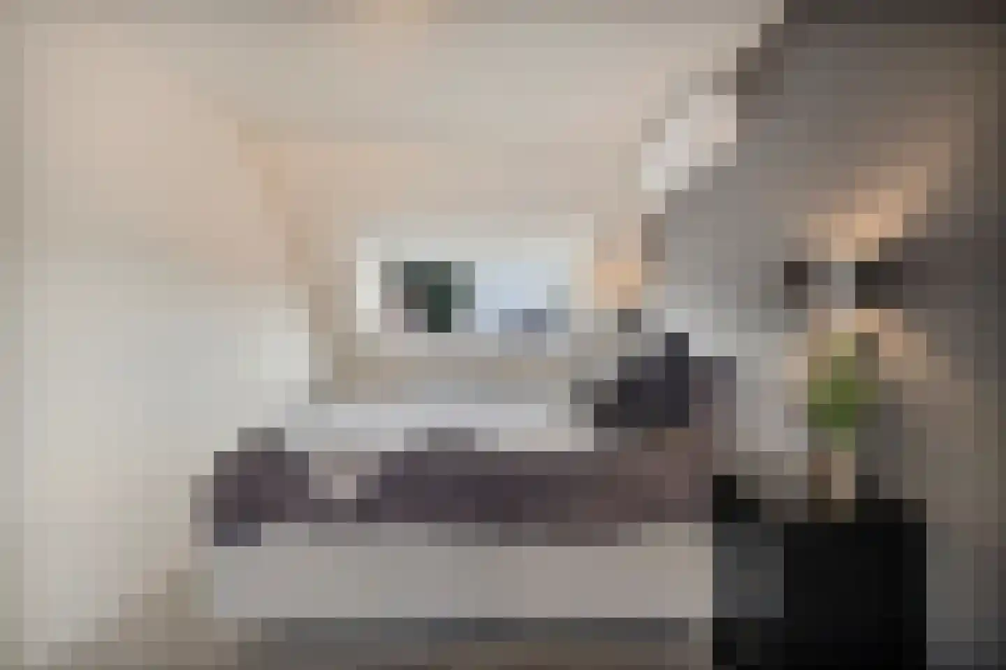 Morgen 41 Stompetoren thumbnail 25