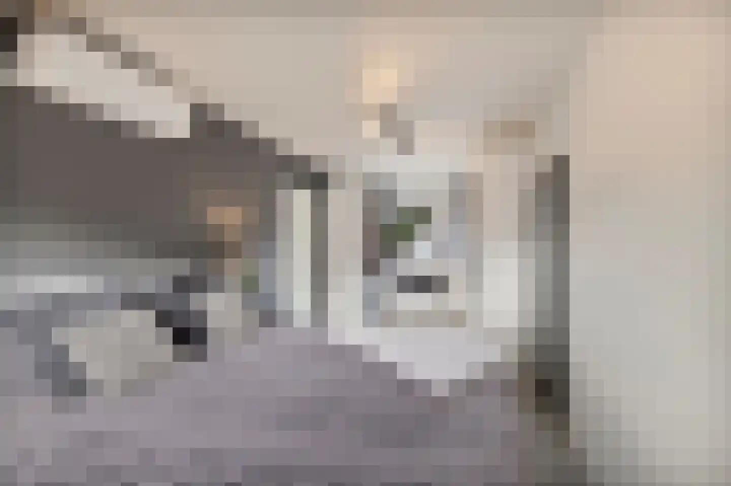 Morgen 41 Stompetoren thumbnail 26