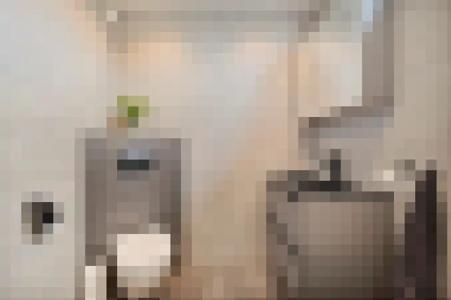 Morgen 41 Stompetoren thumbnail 29