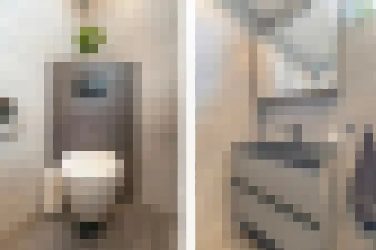 Morgen 41 Stompetoren thumbnail 32