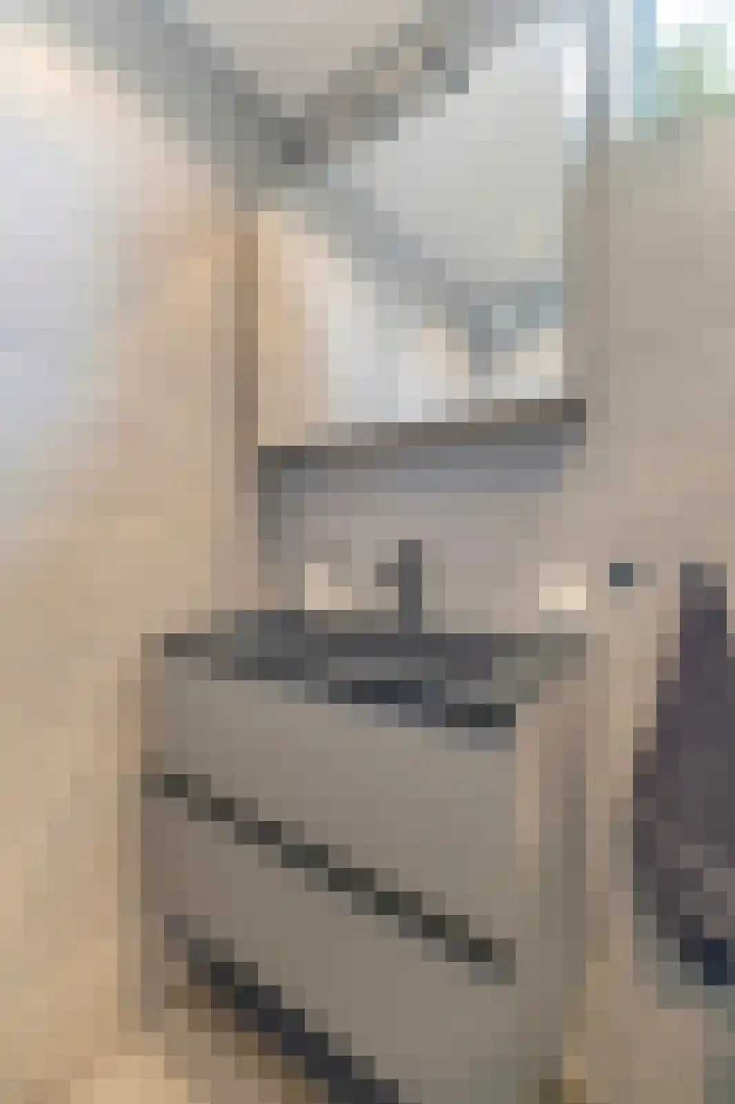 Morgen 41 Stompetoren thumbnail 34
